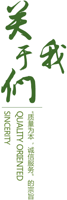 宝威科技数字化转型介绍