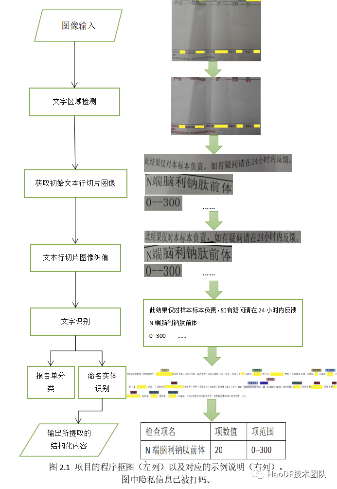 “艾小飞”当家记(图1)